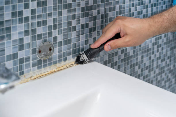 Best Attic Mold Removal  in Germantown Hls, IL
